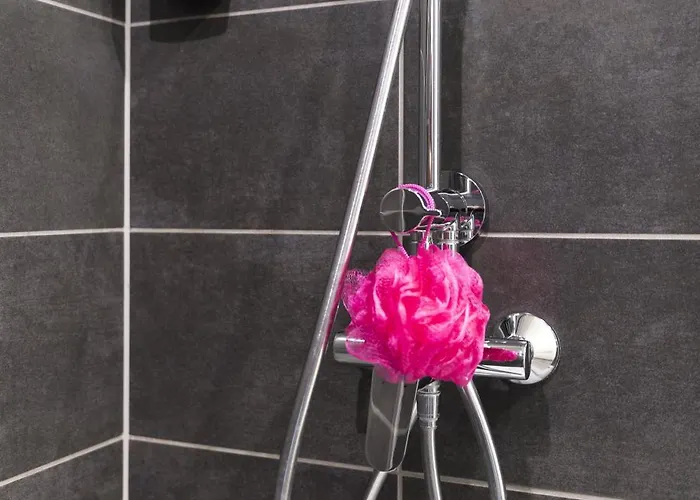 Campanile Centre - Gare 勒芒